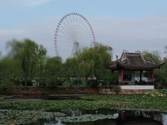 -君来湖滨饭店·玫瑰园