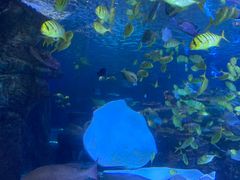 -太平洋海底世界