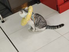 -黎记大排档(慈云路店)