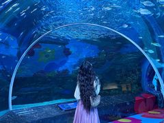 -海合安成都极地海洋公园