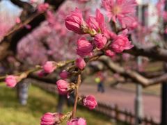 -莲花池公园