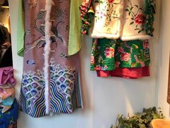 -一棵树(雨儿胡同)