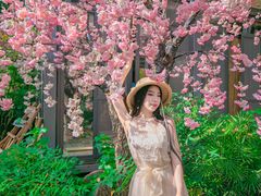 -谷咖啡·鲜花绿植花园餐厅