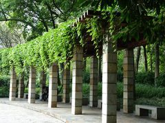 景点-广州珠江公园