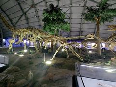 -辽宁古生物博物馆