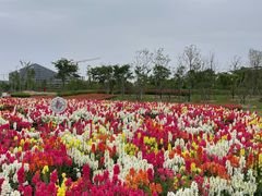 -春花秋色城市公园