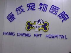 -康成宠物医院24H·CT·核磁共振
