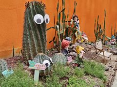 -正佳雨林生态植物园