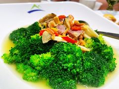 -东荟轩
