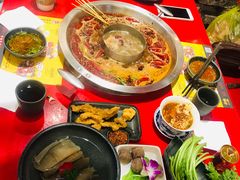 -谭鸭血老火锅(七宝万科广场店)