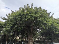 -厦门悦华酒店