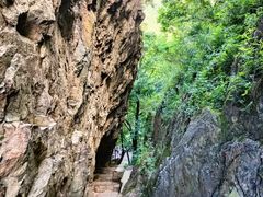 -香炉山国家森林公园