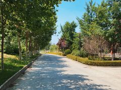 -山东大学(兴隆山校区)