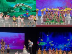 -淄博贝贝星幼儿园