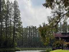 -黄海国家森林公园