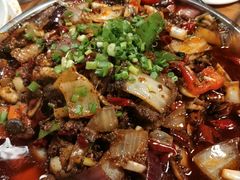 -老号尤兔头(幸福店)