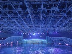 -海合安青岛极地海洋公园
