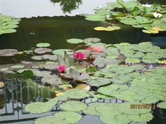 -南戴河国际娱乐中心