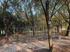 -上海浦江郊野公园-5号停车场