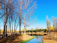 -东郊湿地公园