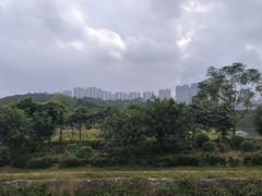 -广西壮族自治区药用植物园