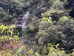 -中国大熊猫保护研究中心雅安碧峰峡基地