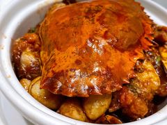 -蝶园·装修中(BFC外滩金融中心店)