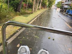 -西双版纳傣族园