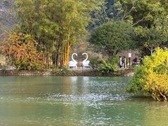 -靖西鹅泉风景区