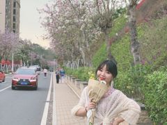 -小南山公园