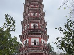 -中山公园(石岐街道)