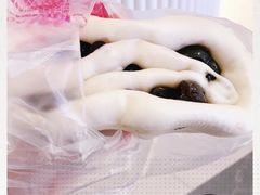-白玉兰食品(甜云店)