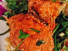 -Onion restaurant