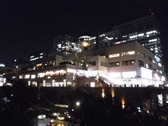 -台场海滨公园船码头