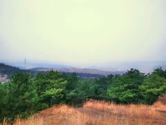 android_upload_pic-高尔山公园