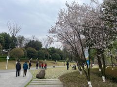 -沐仙湖湿地公园