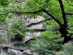 -洛阳白云山景区