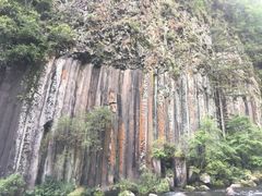 -望天鹅景区