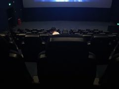 -SFC上影百联影城(川沙IMAX店)