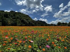 -贵阳市花溪国家城市湿地公园