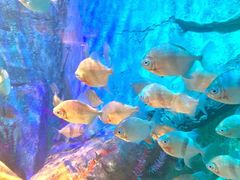 -沈阳海洋探索中心