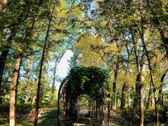 -国家植物园南园