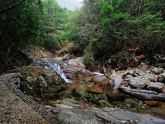 -祁门牯牛降观音堂风景区