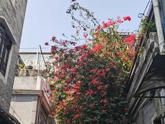 -荔湾博物馆