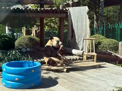 -大连森林动物园