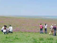 -青海湖国家重点风景名胜区