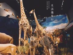 -山东博物馆