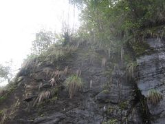 -祁门牯牛降观音堂风景区