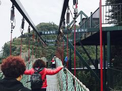 -梦幻奥陶纪景区