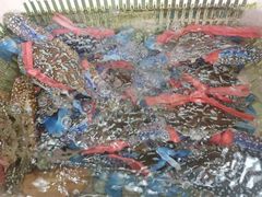 -后田海鲜餐厅(南澳香湖湾店)